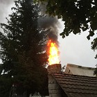 IMG_2616