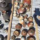 IMG_2779