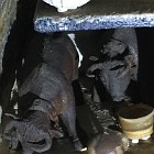 IMG_2815