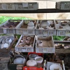 IMG_4101