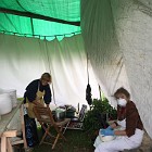 IMG_4106