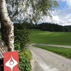 IMG_4157
