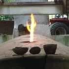 IMG_4284