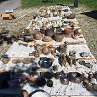 IMG_4330