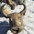 IMG_4346